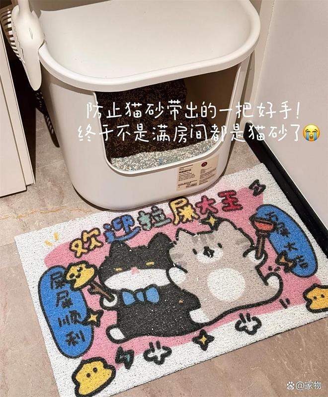 浙江姑娘的7㎡“猫房”火了：4只猫咪猫玩得欢，还不担心掉毛拆家_浙江姑娘的7㎡“猫房”火了：4只猫咪猫玩得欢，还不担心掉毛拆家_