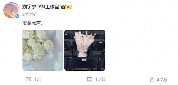 圈内有追求热巴的男星吗__秦海璐面相分析