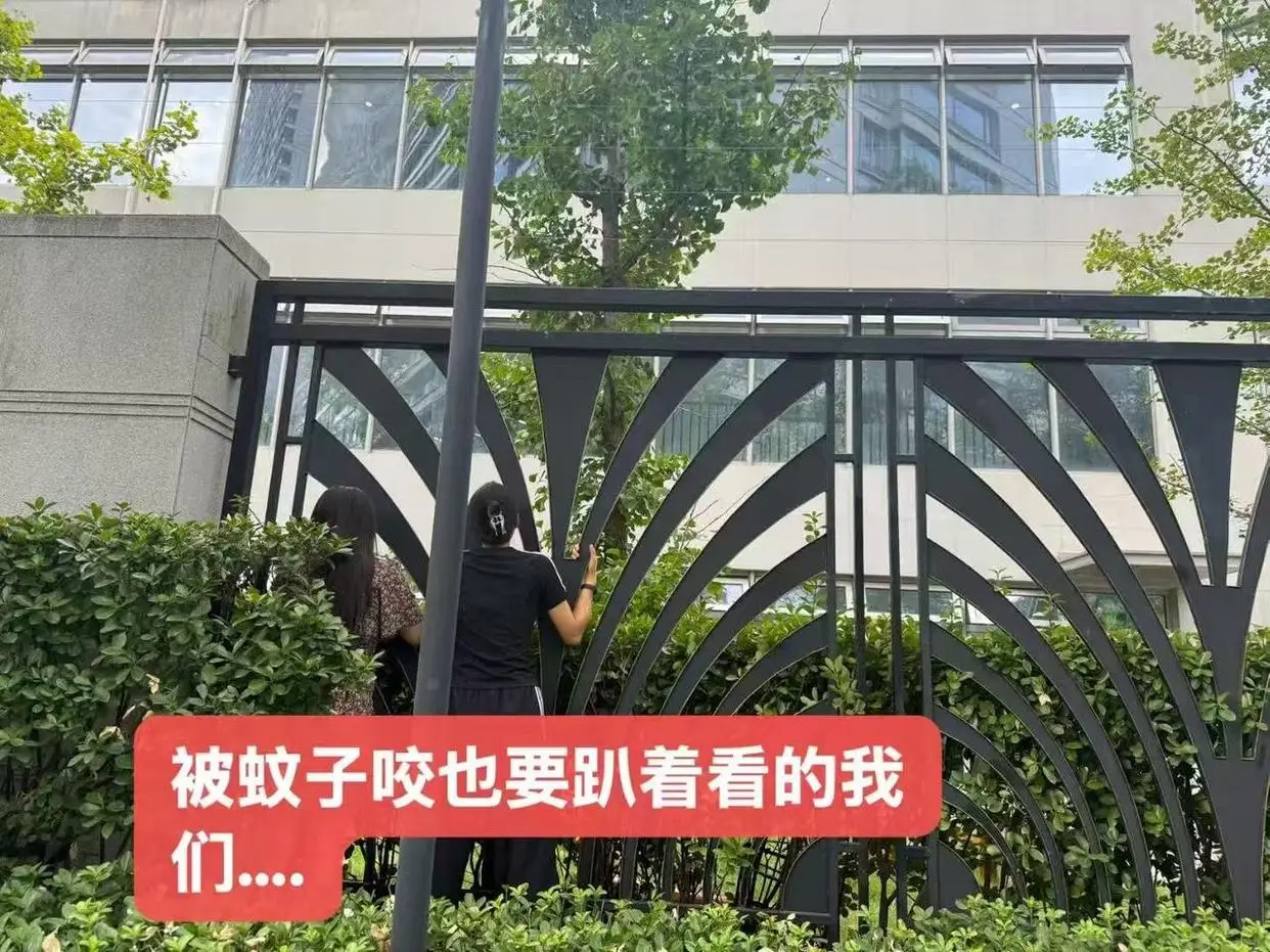 开学第一周，有爸爸比孩子哭得还凶！专家：面对分离焦虑，家长要学会放手