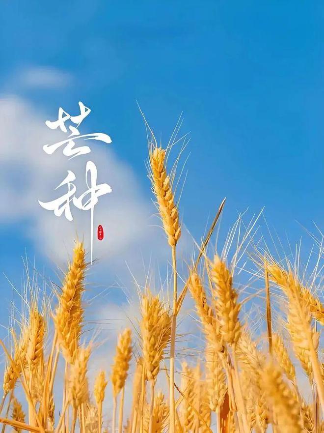 _耕耘季节_春时耕种夏时耘