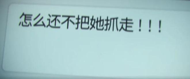 _陈思诚电视剧大全集_狗仔谈拍陈思诚出轨门过程