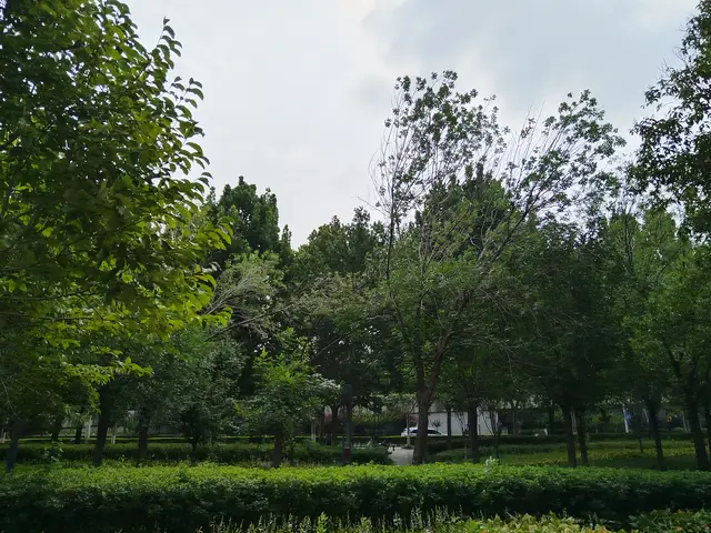 陪伴青春期孩子，清醒看孩子贪玩和分心，才能有助于提升内驱力