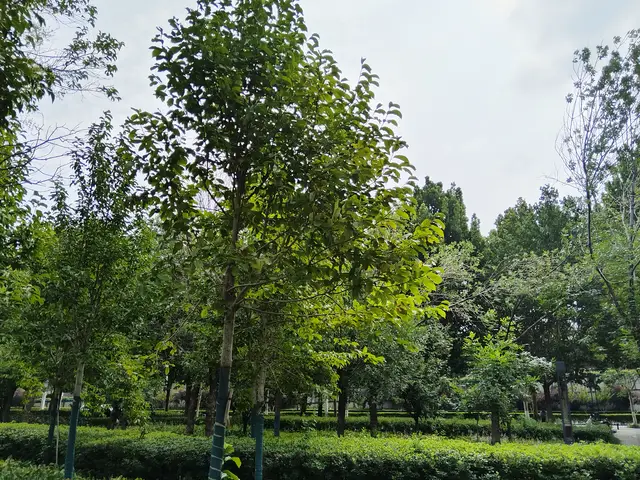 青春判逆期孩子如何教育__让孩子清醒是什么短语类型