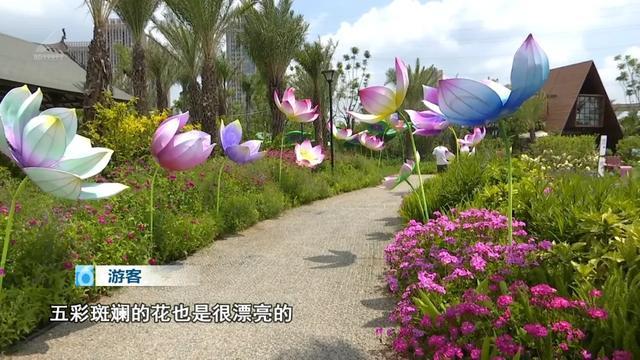 _舌尖美味系列随笔_舌尖美食菜谱