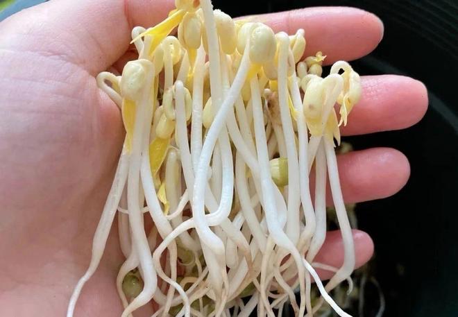 以前乱花钱现在想努力说说__以前乱花钱现在才知道钱多重要