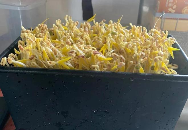以前乱花钱现在才知道钱多重要_以前乱花钱现在想努力说说_