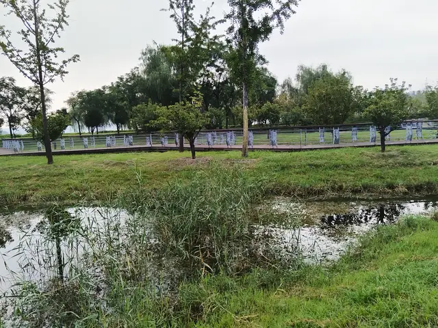 面对自私的孩子怎么办__对于自私的孩子怎么去心理疏导