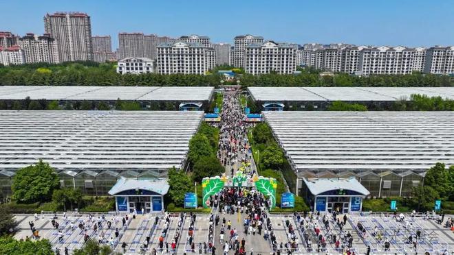 “蔬菜游”五一火爆出圈，最高单日客流量达14万人次