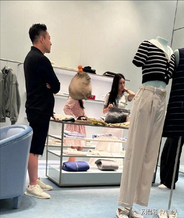 毁三观是什么意思__是出轨的声音
