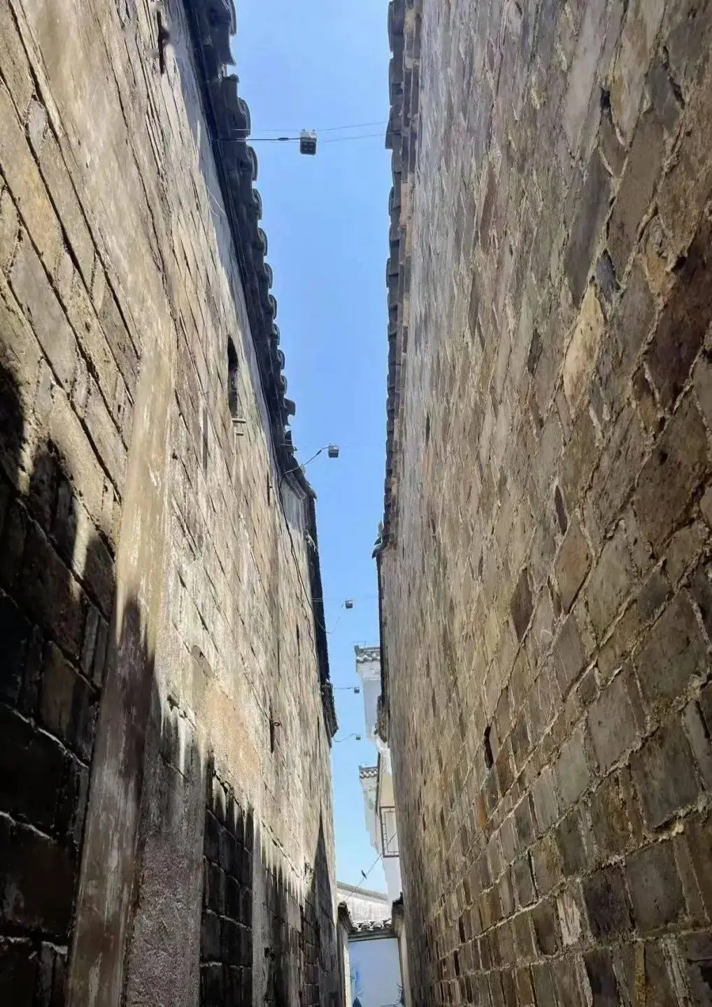 _学历背景内容_学历背景怎么填