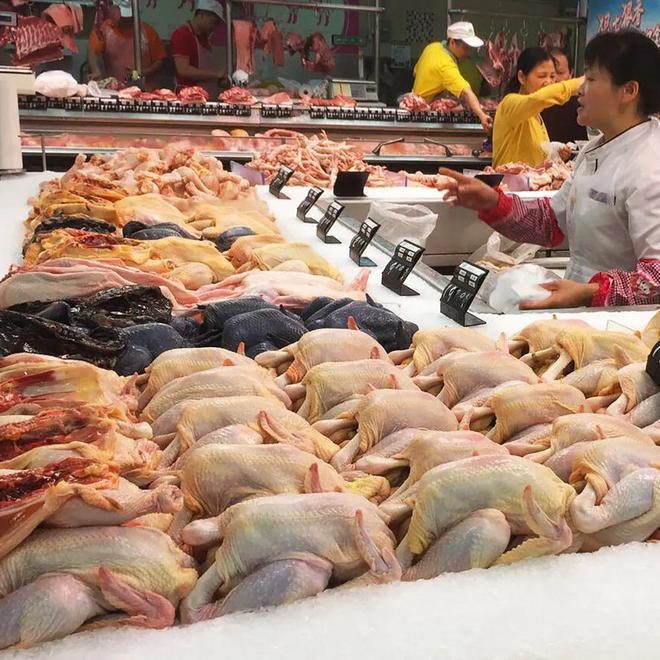 广东好吃鸡食品有限公司_好吃鸡品种排名_