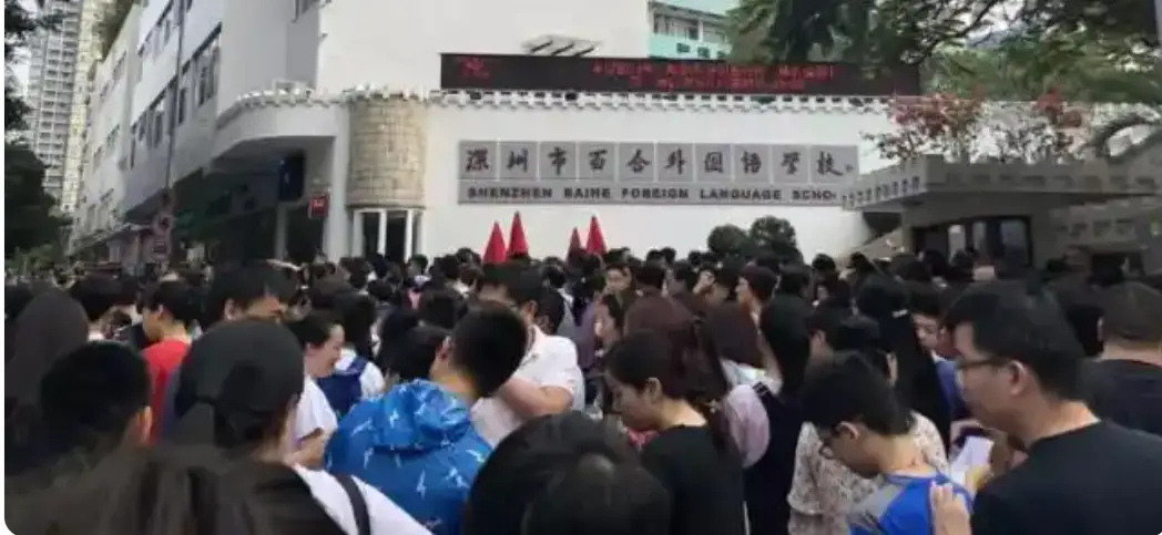 深圳顶级学校_深圳本土学校_