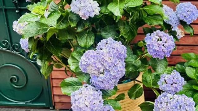 程黧眉：夏天，一定有好事发生