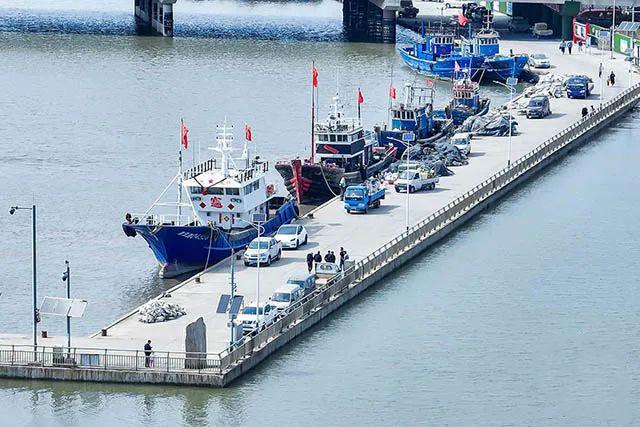 “一起守护好这片海”——天津渤海湾畔生态“蜕变记”
