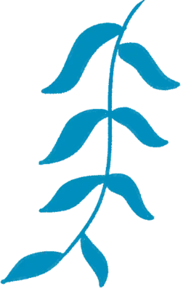图书馆考研室__大学考研图书馆怎么占位置