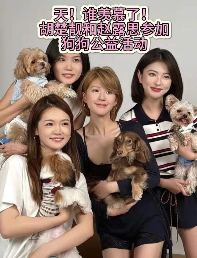 池城李宝英近况曝光__尴尬处境是什么意思