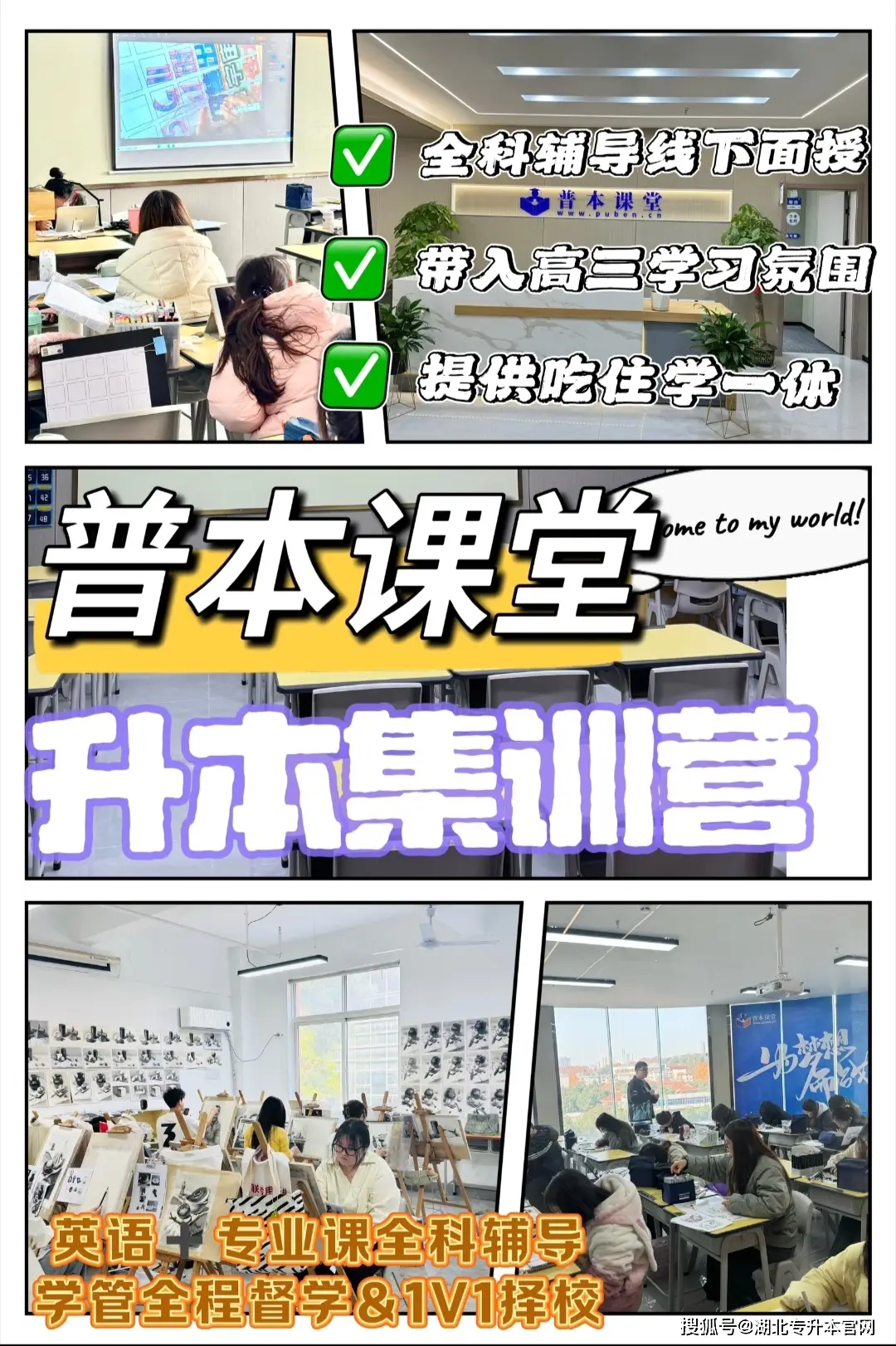 湖北专升本上岸考生一天学习规划分享