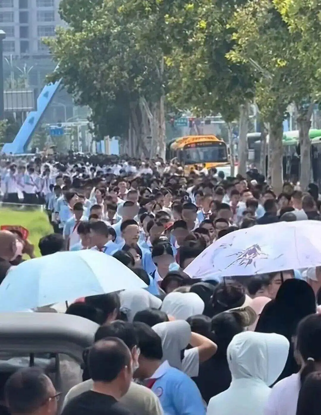 初一的娃_初一新生怎么样_