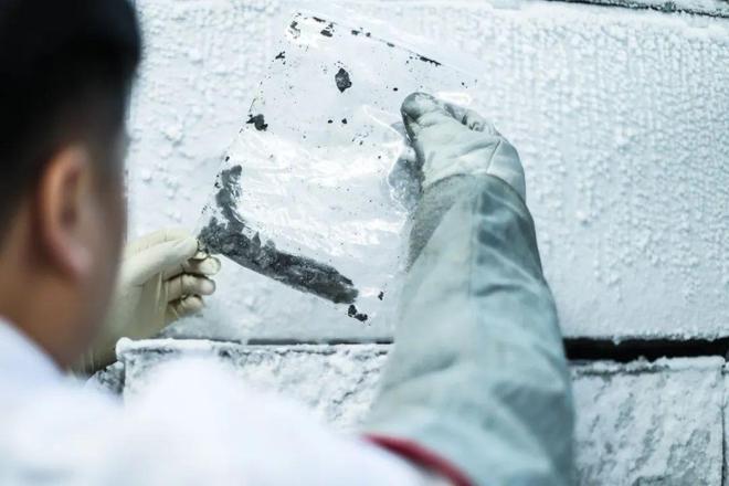 华东师大《自然》发文，揭秘真核生物起源时间约为27.2亿年前！__华东师大《自然》发文，揭秘真核生物起源时间约为27.2亿年前！