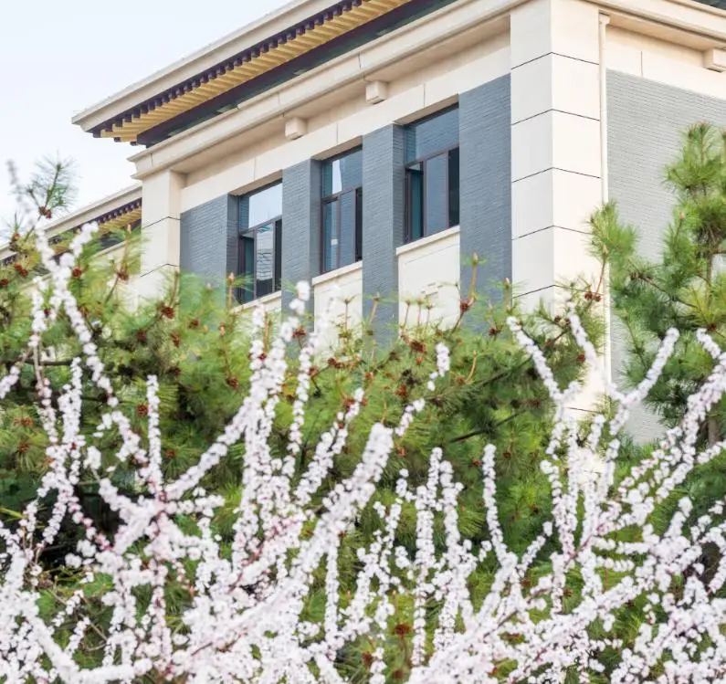 投资学专业能考公务员吗？了解这些岗位和机会，让你走向成功之路