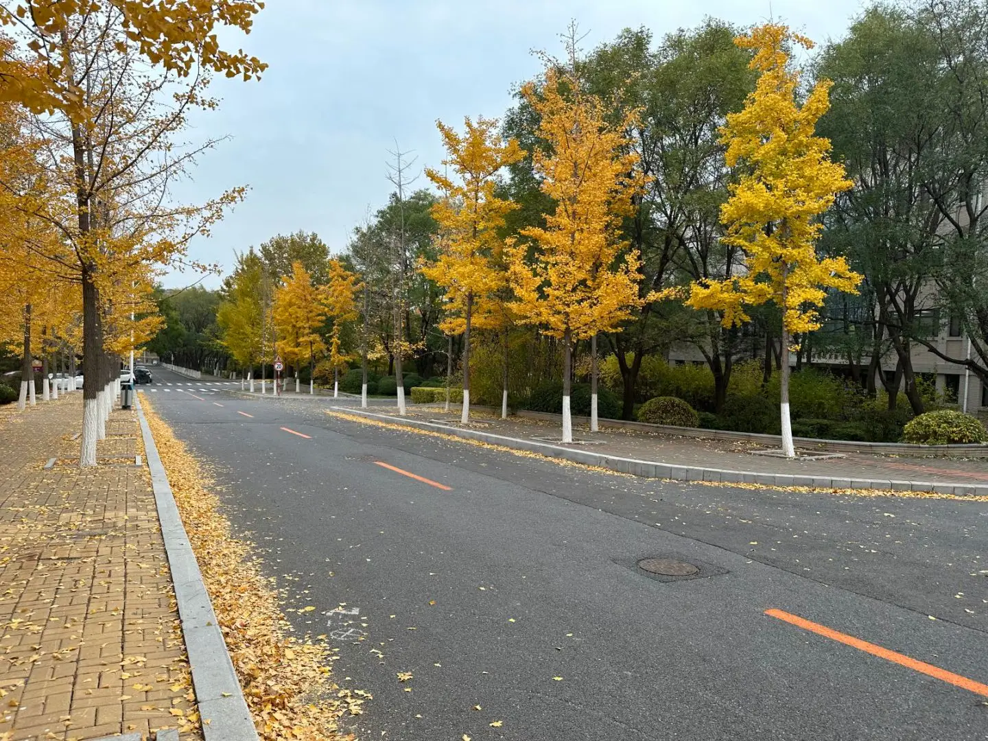 _本科分大连能高考考生低考吗_大连本科线是多少