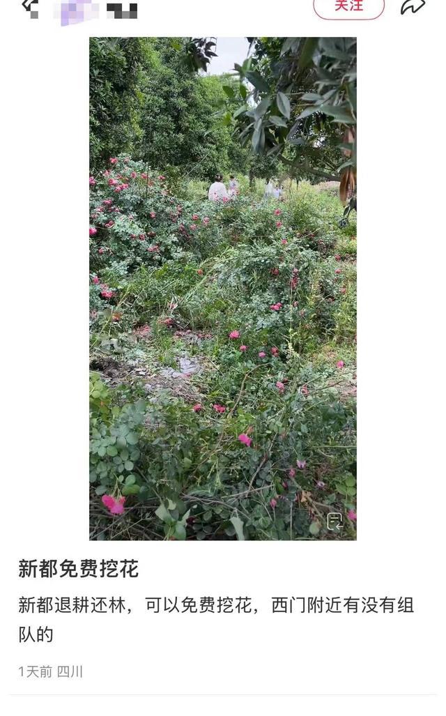 纵览热点｜贵州某农家乐“扫码闻鸡鸣”项目被跟风“恶搞”，一天内900多人远程扫码致“鸡叫”不断，农家乐：勿盲目跟风__纵览热点｜贵州某农家乐“扫码闻鸡鸣”项目被跟风“恶搞”，一天内900多人远程扫码致“鸡叫”不断，农家乐：勿盲目跟风