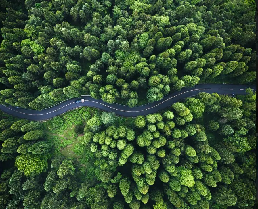 法律职业资格考试：详细科目解析与备考技巧！你必须知道的全攻略
