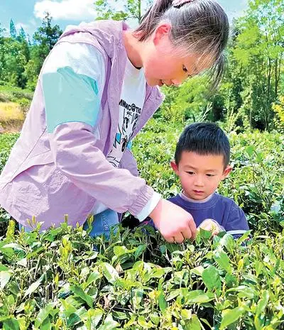 人民日报记者探访：中小学春秋假，如何放得好推得开？__人民日报记者探访：中小学春秋假，如何放得好推得开？