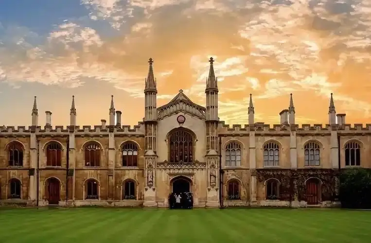 中国大学世界排名变化__大学排名大变天