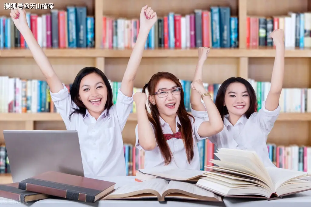 法律从业者资格证报考条件：走向法律职业的大门
