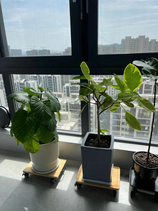 _入住久了才发现：生活的尽头是收纳，不是胡说，是过来人的经验！_入住久了才发现：生活的尽头是收纳，不是胡说，是过来人的经验！