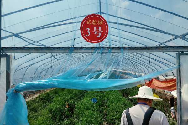 乡村振兴人民法庭法院调研__乡村振兴战略调研文章