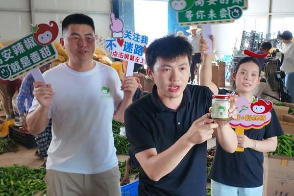 乡村振兴战略调研文章_乡村振兴人民法庭法院调研_