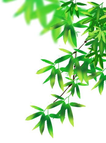 南京市第九初级中学2025级初一新生报到通知