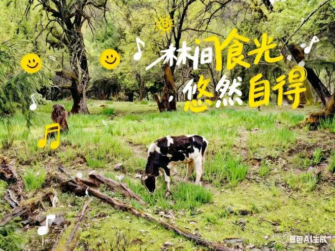 _豆包P图大更新，网友们已经玩嗨了_豆包P图大更新，网友们已经玩嗨了