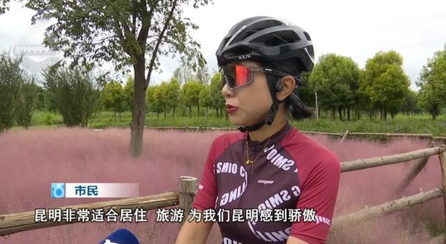 昆明花海_昆明花海在哪个地方_
