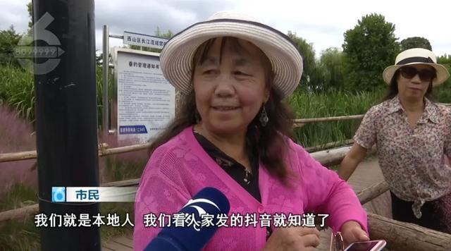 _昆明花海在哪个地方_昆明花海