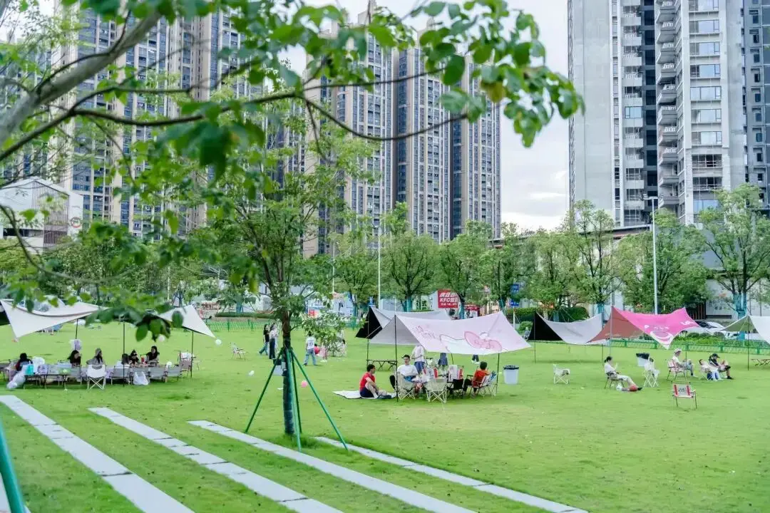 _开学暴击后，选学校的逻辑变了_开学暴击后，选学校的逻辑变了