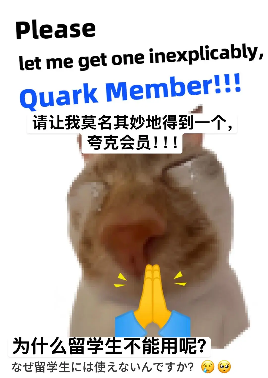 留学生们，正在围攻夸克_留学生们，正在围攻夸克_