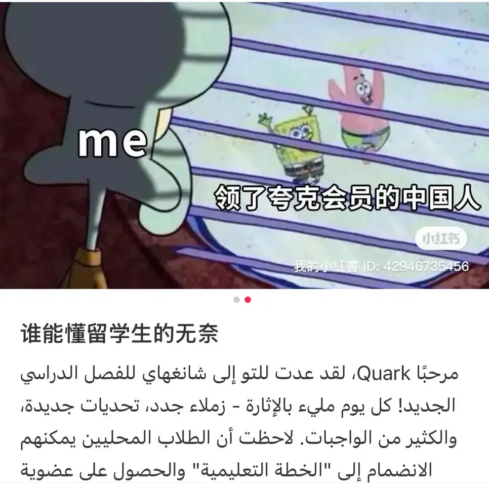 留学生们，正在围攻夸克__留学生们，正在围攻夸克