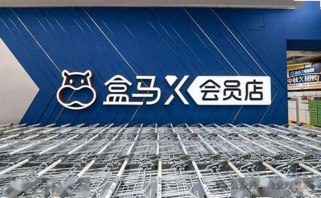 盒马X会员店困局