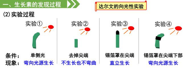 ps做出小清新的产品详情页__第一次见面之后怎么聊