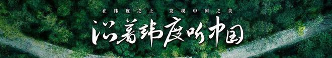 沿着纬度听中国丨徒步四明山：链接生命 对话自然