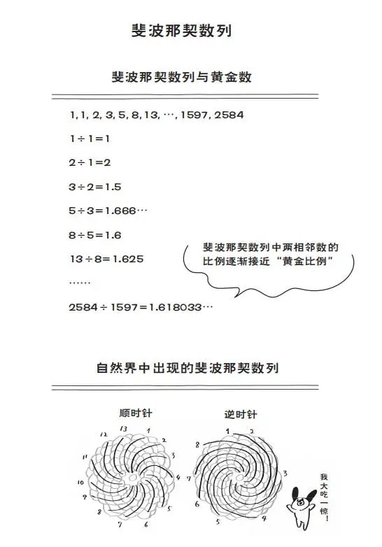 数学解透教材有用吗_读懂数学教材_