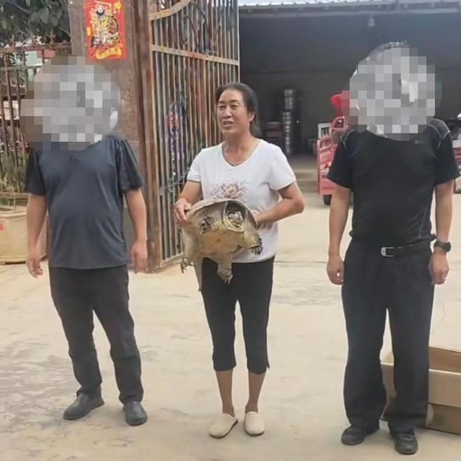 养30多年的宠物龟出逃被路过司机抱走，民警已帮忙找到送回主人家