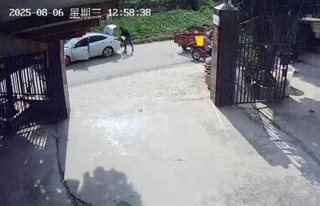 _养30多年的宠物龟出逃被路过司机抱走，民警已帮忙找到送回主人家_养30多年的宠物龟出逃被路过司机抱走，民警已帮忙找到送回主人家