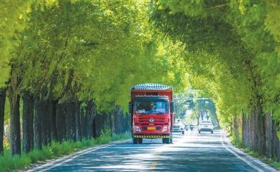让农村道路更好走（锐财经）