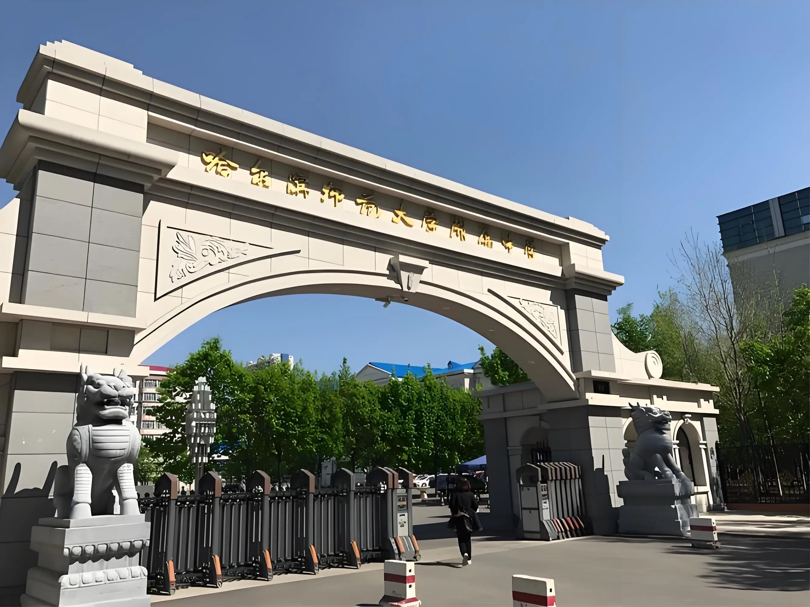 哈尔滨各高中高考成绩__2021年哈尔滨高中高考
