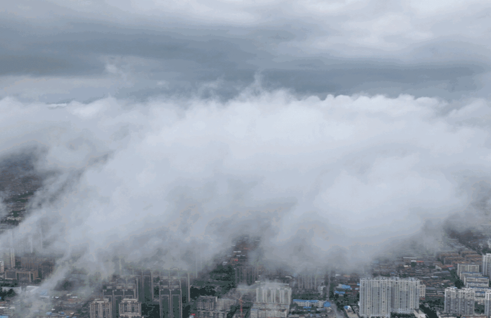 8月9日最佳情报|云海奇观如梦似幻，凉意升山东多地迎秋雨！