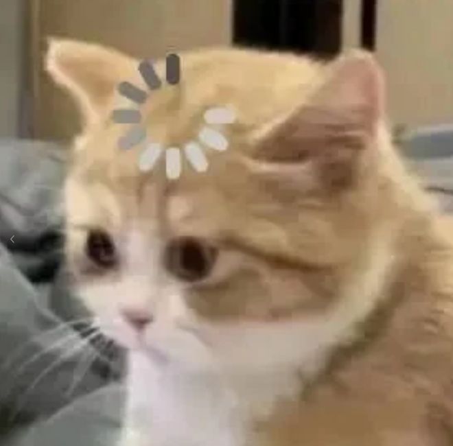 阿里小号是不是停了_阿里小号吧_